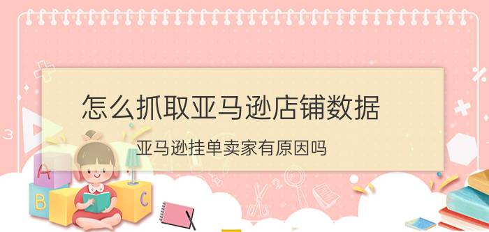 怎么抓取亚马逊店铺数据 亚马逊挂单卖家有原因吗？